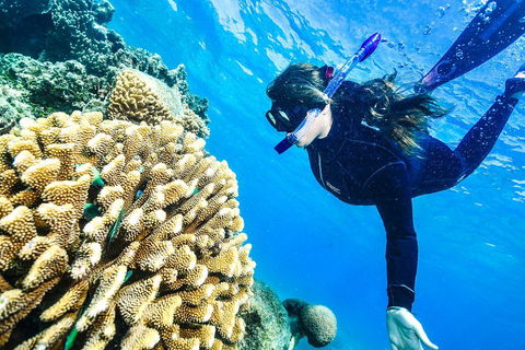 Green Island Day Trip From Cairns - Kingaroy Accommodation 1