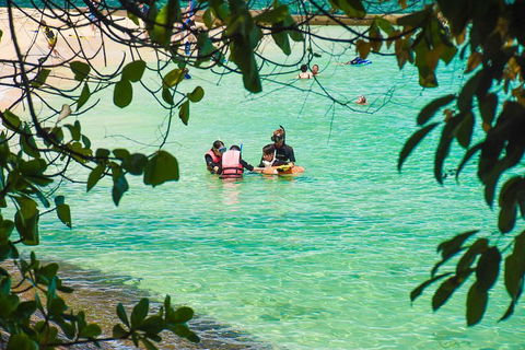 Green Island Day Trip From Cairns - Kingaroy Accommodation 2