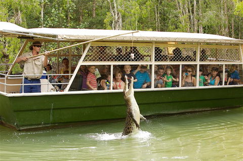 Hartley's Crocodile Adventure Half-Day Tour - Kingaroy Accommodation 0