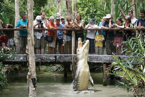 Hartley's Crocodile Adventure Half-Day Tour - Kingaroy Accommodation 1