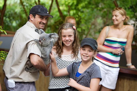 Hartley's Crocodile Adventure Half-Day Tour - Kingaroy Accommodation 3