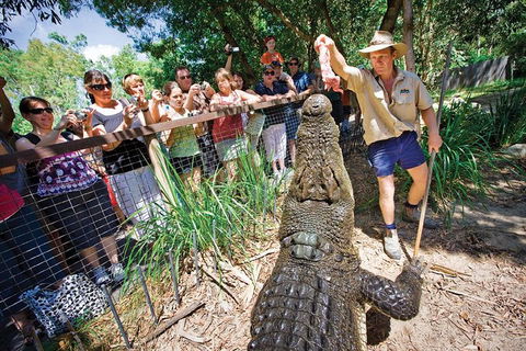 Hartley's Crocodile Adventure Half-Day Tour - Kingaroy Accommodation 4