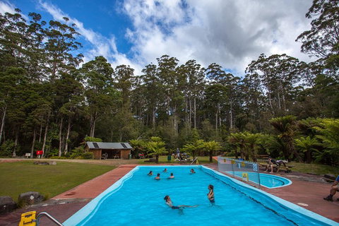 Tahune Airwalk Active Day Trip From Hobart Including Hastings Caves - Kingaroy Accommodation 0