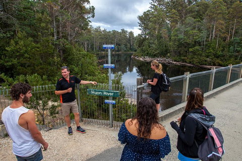 Tahune Airwalk Active Day Trip From Hobart Including Hastings Caves - Kingaroy Accommodation 1