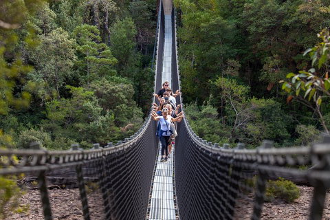 Tahune Airwalk Active Day Trip From Hobart Including Hastings Caves - Kingaroy Accommodation 3