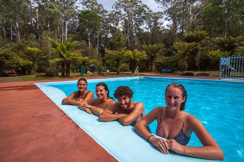 Tahune Airwalk Active Day Trip From Hobart Including Hastings Caves - Kingaroy Accommodation 5