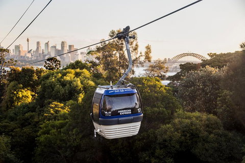 Australia Multi-City Attractions Pass - Kingaroy Accommodation 5