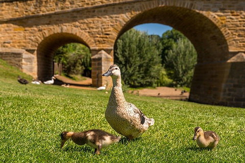Richmond Historic Afternoon Tour From Hobart - Kingaroy Accommodation 1
