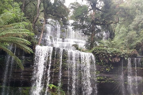 6-Day Hearty Tasmania Tour (Tasmania In A Circle) - Kingaroy Accommodation 0