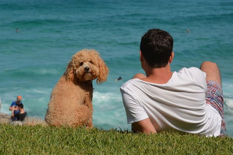 See Sydney With A Local: Private & Personalized - Kingaroy Accommodation 5