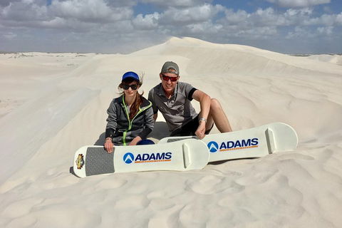 Full Day Pinnacle Desert Explorer From Perth Including Hillarys And Lancelin Sandboarding - Kingaroy Accommodation 4