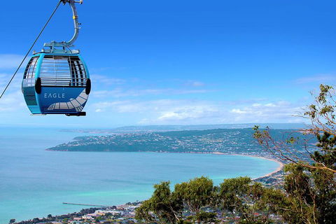 Peninsula Hot Springs Tour With Restaurant Lunch & Gondola Ride - Kingaroy Accommodation 1