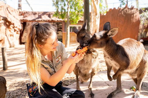 WILD LIFE Sydney Entrance Ticket - Kingaroy Accommodation 5