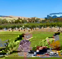 Private Picnic and Wine Tasting Experience in Barossa Valley - Kingaroy Accommodation