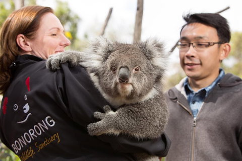 Bonorong Wildlife Park And Richmond Afternoon Tour From Hobart - Kingaroy Accommodation 0