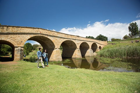 Bonorong Wildlife Park And Richmond Afternoon Tour From Hobart - Kingaroy Accommodation 2