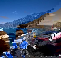 Seal Island Boat Tour from Victor Harbor - Kingaroy Accommodation