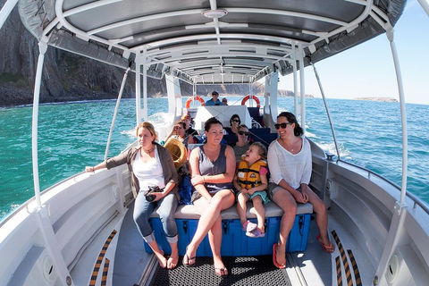 Seal Island Boat Tour From Victor Harbor - Kingaroy Accommodation 1
