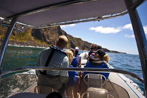 Seal Island Boat Tour From Victor Harbor - Kingaroy Accommodation 2