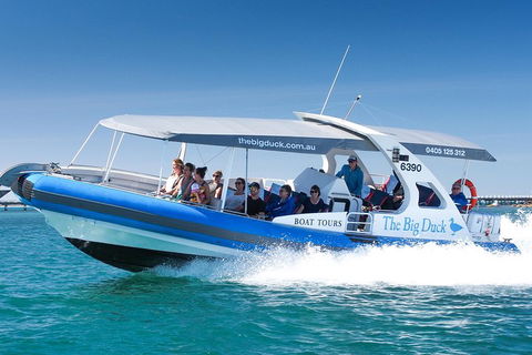 Seal Island Boat Tour From Victor Harbor - Kingaroy Accommodation 3