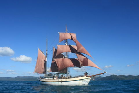 Sydney Harbour Tall Ship Whale & Sail - Whale Watching Cruise - Kingaroy Accommodation 1