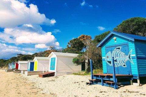 Mornington Peninsula Day Trip From Melbourne - Kingaroy Accommodation 2