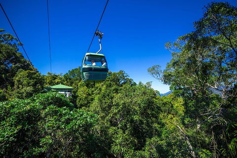 Classic Kuranda By Skyrail And Scenic Railway Including Rainforestation, Koala And Wildlife Park And Pamagirri Aboriginal Experi - Kingaroy Accommodation 0