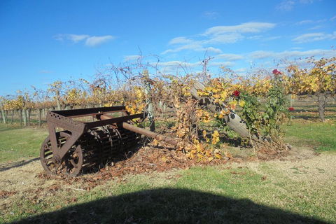 Swan Valley Tour From Perth: Wine, Beer And Chocolate Tastings - Kingaroy Accommodation 3