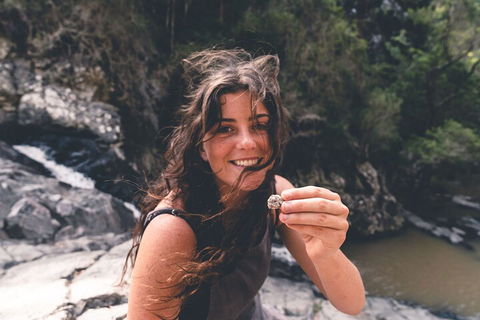 Springbrook AndTamborine Rainforest Tour Incl Natural Bridge And Glow Worm Cave - Kingaroy Accommodation 1