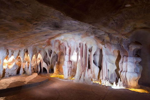 Springbrook AndTamborine Rainforest Tour Incl Natural Bridge And Glow Worm Cave - Kingaroy Accommodation 4