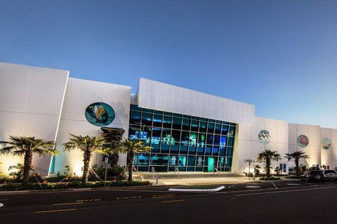 Cairns Aquarium Admission Ticket - Kingaroy Accommodation 4