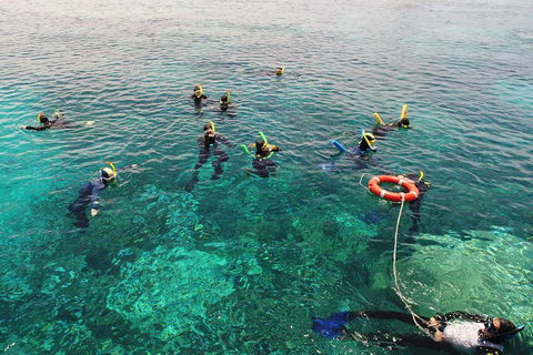 Seastar Luxury Outer Great Barrier Reef Island And Reef Tour From Cairns - Kingaroy Accommodation 2