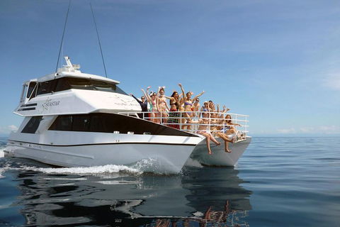 Seastar Luxury Outer Great Barrier Reef Island And Reef Tour From Cairns - Kingaroy Accommodation 4