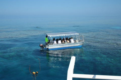 Seastar Luxury Outer Great Barrier Reef Island And Reef Tour From Cairns - Kingaroy Accommodation 5