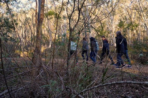 Wild Australian Wildlife 4WD Tour From Sydney - Kingaroy Accommodation 0