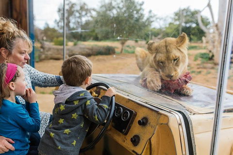 Werribee Open Range Zoo General Admission Ticket - Kingaroy Accommodation 4