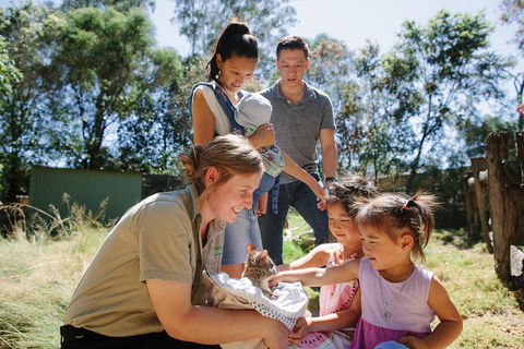 Featherdale Wildlife Park General Admission - Kingaroy Accommodation 0