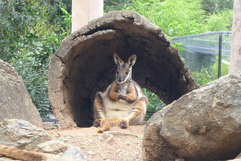 Featherdale Wildlife Park General Admission - Kingaroy Accommodation 2
