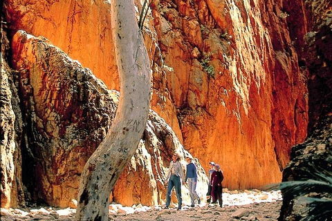 West MacDonnell Ranges Day Trip From Alice Springs - Kingaroy Accommodation 3