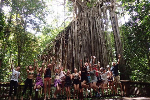 Atherton Tablelands Waterfalls Tour From Cairns - Kingaroy Accommodation 5
