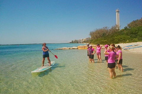 Golden Beach 1-Hour Stand-Up Paddleboard Hire On The Sunshine Coast - Kingaroy Accommodation 1