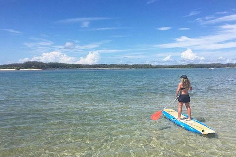 Golden Beach 1-Hour Stand-Up Paddleboard Hire On The Sunshine Coast - Kingaroy Accommodation 4